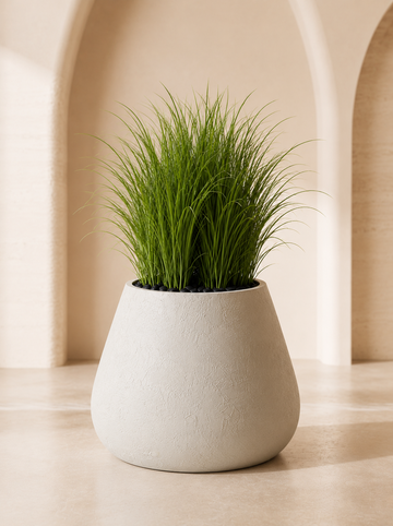 Dropica - Medium Size